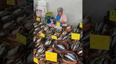 ร้านขายปลาตลาดเทเวศร์ #bangkok #thailand #bangkokthailand # shorts