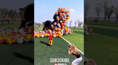 Rescue the trapped dachshund on the football field Douyin Assistant Popular Co-production Creative 
