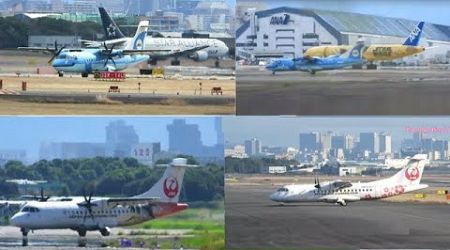 Plane Spotting Live!! Osaka International Airport 07/29/2024
