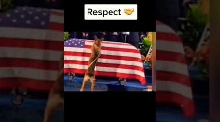 respect #respect #respectshorts #youtubeshorts #greenscreenshorts #vairalvideo #popular #tranding