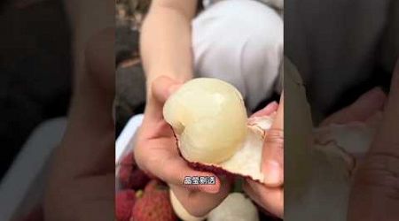 Trends and Innovations in fruit Farming Lychee cutting #shortvideo #food #fruit #shorts