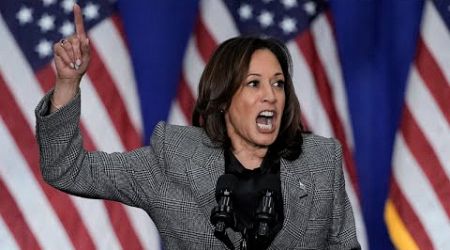 ‘Going to backfire’: Kamala Harris’ ‘problematic politics’ to hurt campaign in long run