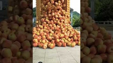 3d animation of apples #travel #fruit #vlog #asmr #ballon #automobile #funny #ballooon #caraccessory