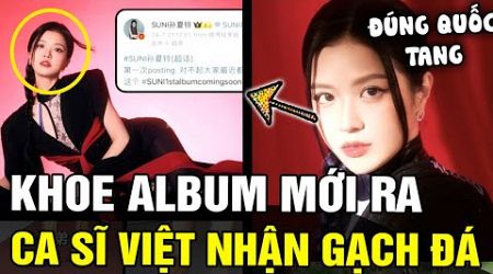 Suni Hạ Linh nhận mưa GẠCH ĐÁ của cả fan Trung và Việt vì khoe Album mới đúng dịp QUỐC TANG | TÁM TV