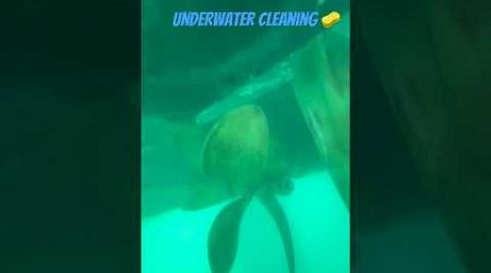 Subscribe for more content like this. Underwater yacht bottom cleaning