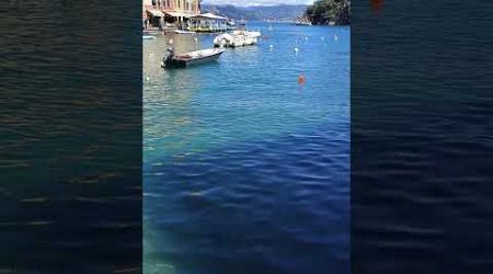 Portofino... the port in heaven #Shorts #Trending #Viral #portofino #italy #yacht #romantic