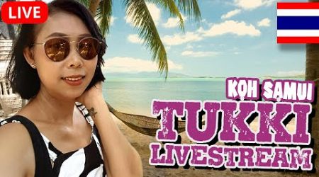 TUKKI KOH SAMUI LIVESTREAM 