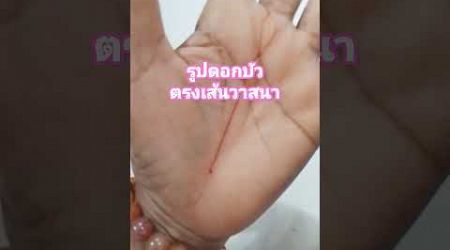 ดูลายมือ #รูปดอกบัว #ตรงเส้นวาสนา #ดวงลายมือ #shortvideo #thailand