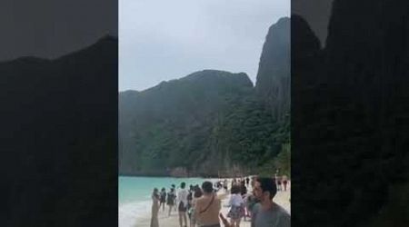 island Maya bay #maybay #thailand #phiphiislands #monkey #bangkok #beach #yt #trending #shorts #love