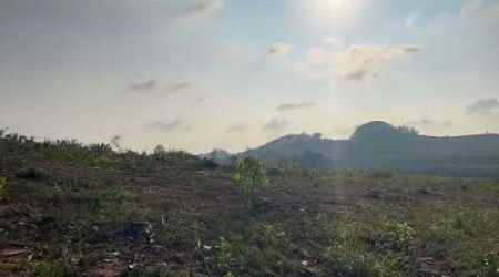 Peaceful 77 Rai Mountain View Land for Sale Near Samet Nangshe, Phang Nga