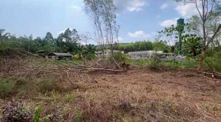 Tranquil 5 Rai with Mountain Views Land for sale in prime location in Tha Yu, Phang Nga