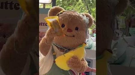 หนูชอบทุเรียน #น้องหมีเนย #butterbear #cutebear #bangkok #ทุเรียน