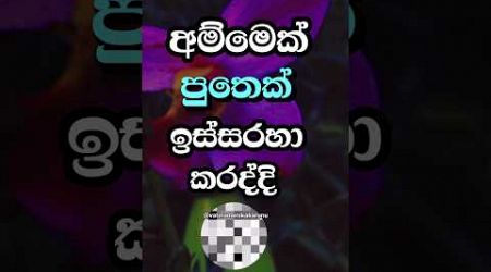 අම්ම හෙළුවෙන් පුතාට පේන්න 