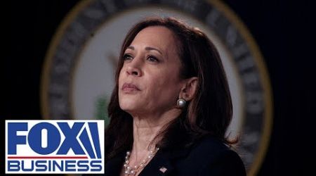 Journalist exposes Kamala&#39;s record: &#39;She locked up a lot of Black women&#39;