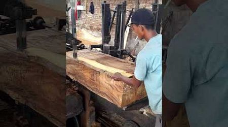 SAWMILL KAYU BOLONG MISTERIUS #trending #youtube #shorts #woodworking #popular