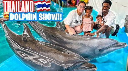 BEST DOLPHIN SHOW EVER IN PHUKET THAILAND 