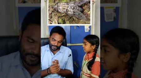 FLIES- ఈగలు #education #useful videos #spoken english @vibgyoreducation5623