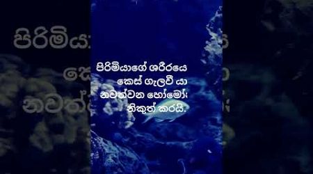 නැගලා බලන්න ආසා හිතෙයි. 