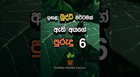 ඔයාට නම් මේවා නැතුව ඇති 