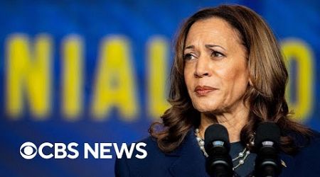 Political strategists on Kamala Harris&#39; potential running mates