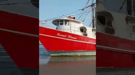 A lost hull #portaransastexas #texasbeach #boat #fishing #oceanmystery #portaransas #yacht