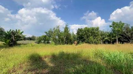 Almost 3 Rai Prime Land for Sale Close to Aqualla Golf Club and Beach in Thai Mueang, Phang Nga
