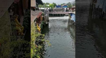 Chao praya, floating market #bangkok #thailand #floatingmarket #chaopraya