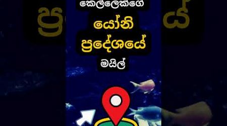 ඒවා තිබුනොත් මොනවා වෙයිද? 