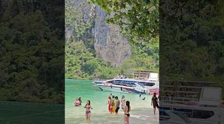 #phiphiisland #phuket #travel #phuketvlog #thailand #beach #vacation#nature#travelvlog #thailandvlog