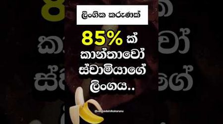 ඉතුරු 15% මොනවා කරනවා ඇත්ද 