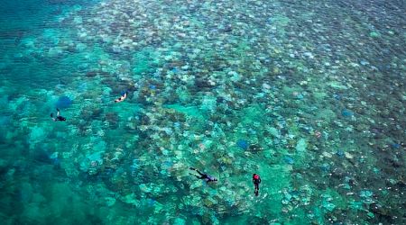 Great Barrier Reef waters spike to hottest in 400 years, study finds