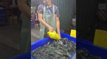 Fish at a Thai Street Food Market of Pattaya City in Thailand Asia #shorts #thailand #pattaya #thai