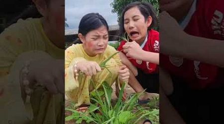 JANGAN MAKAN RUMPUT ADE #shortsyoutube #trends #viral_video