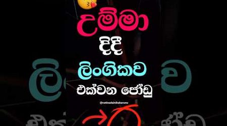 ටික දවසයි සම්බන්දෙ 