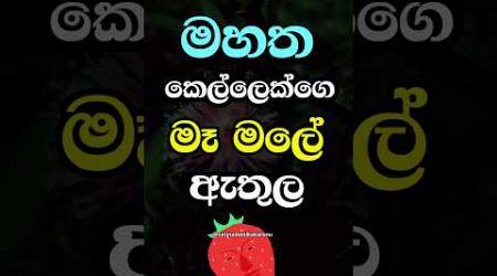 ඇත්තටම මේ වගේද 