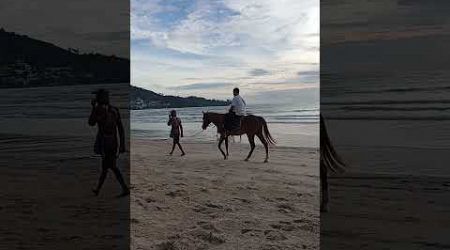 Riding a horse at the beach, Kamala, Phuket#shorts #horse #beach