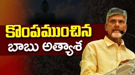 CM Chandrababu Politics : Mr Sandeep