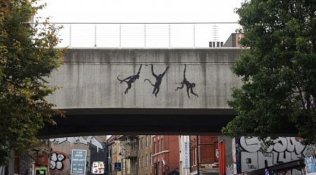 Banksy unleashes animals on London, but what do they mean?