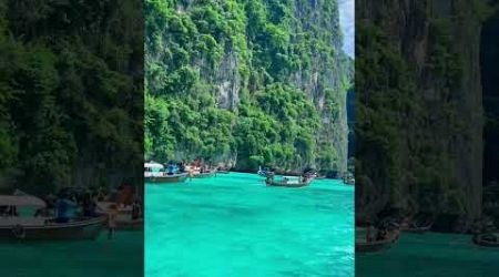 Beauty of Phi Phi Island #sea #sealife #phuket #thailand