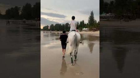 Jusmin horse riding bangtao Beach phuket.