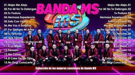 Bandas Románticas Lo Más Nuevo - Banda MS Álbum Completo Mas Popular 2024