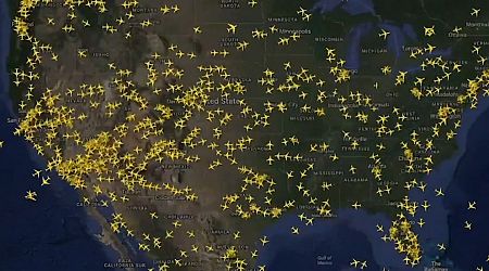 WATCH: Timelapse shows drop in US air travel amid wave of early morning IT outages