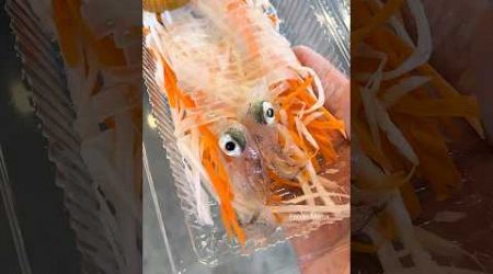 Thai Girl Sells Live Squid Sashimi