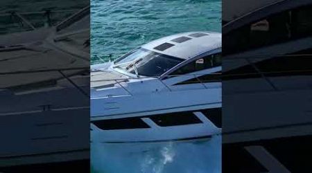 Sunseeker Predator top view