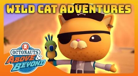 Octonauts: Above &amp; Beyond - 