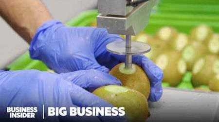 How A $1 Billion Gold Kiwi Breed Saved New Zealand&#39;s Industry | Big Business | Business Insider