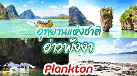 แพลงก์ตอน (Plankton) Phang Nga Bay [ 1 Sep 2024 ] #huaweinovay70 #Phang Nga #thailand #unseen