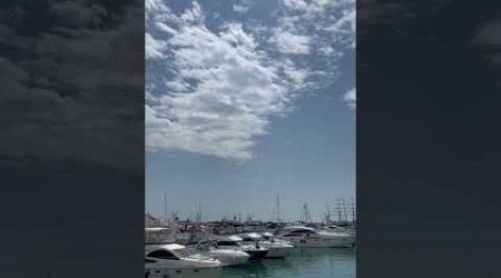 Yachts in Sochi #russia #travel #travelvlog #russiancity #сочи #yacht #sochi