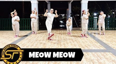 MEOW MEOW ( Dj Danz Remix ) - Budots | Dance Trends | Dance Fitness | Zumba