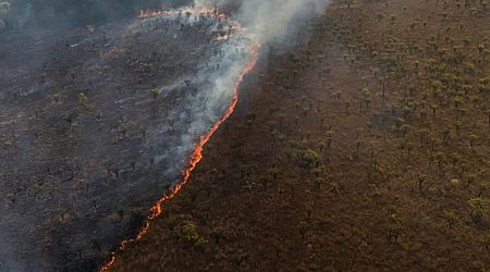 Wildfire destroys 20% of Brasilia forest, arson suspected